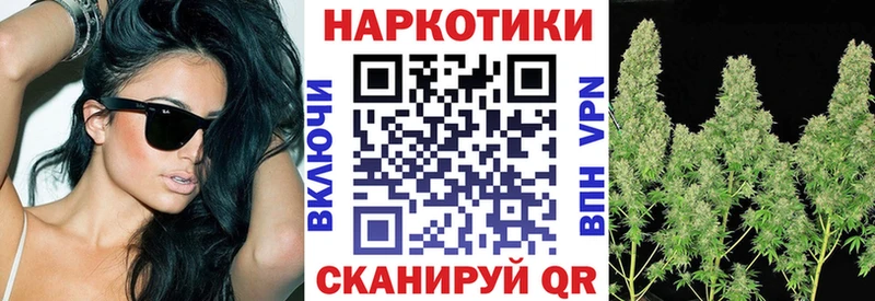 Где продают наркотики Кингисепп ГАШ  Марихуана  Мефедрон 