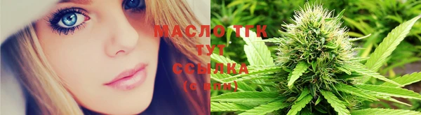 сатива Абинск