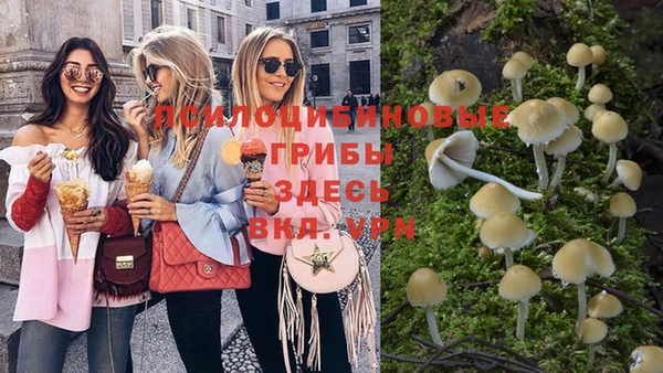 сатива Абинск