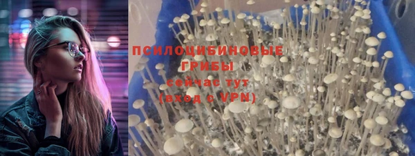сатива Абинск